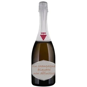 Champagne Moët & Chandon Brut
Caisse Bois SC