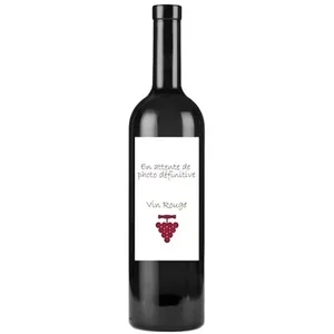Côteaux du Layon AOC
Philippe Delesvaux - Carboniféra
